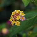 Dsc00370